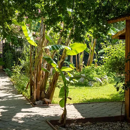 Otel Guenes Boutique - Oludeniz 3*